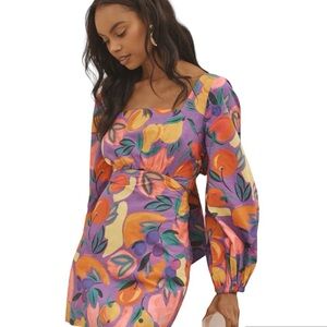 FARM RIO Long Sleeve Cotton Poplin Mjni Dress - Women’s Size Small - New